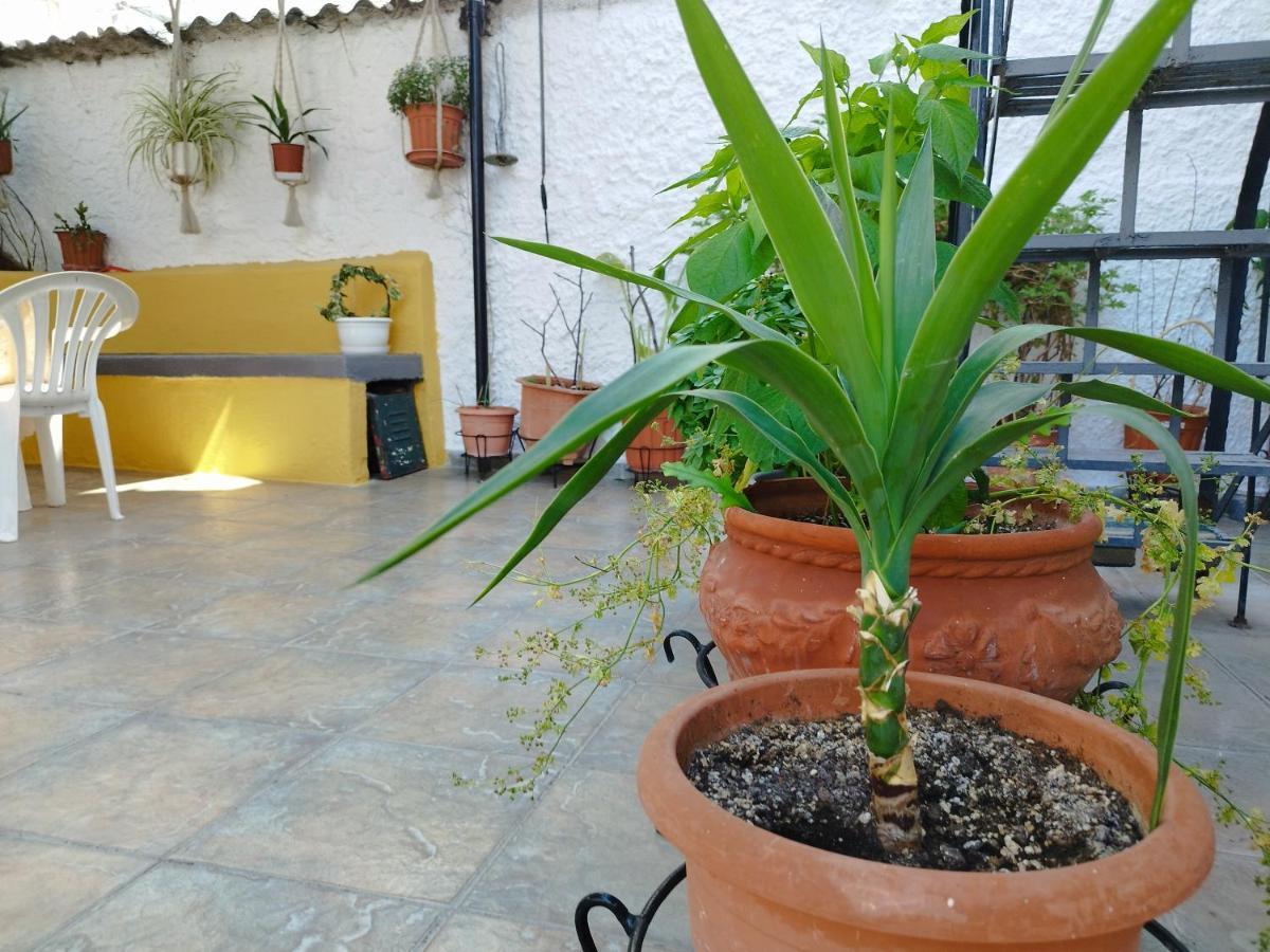 Voulas Guest House فولوس المظهر الخارجي الصورة