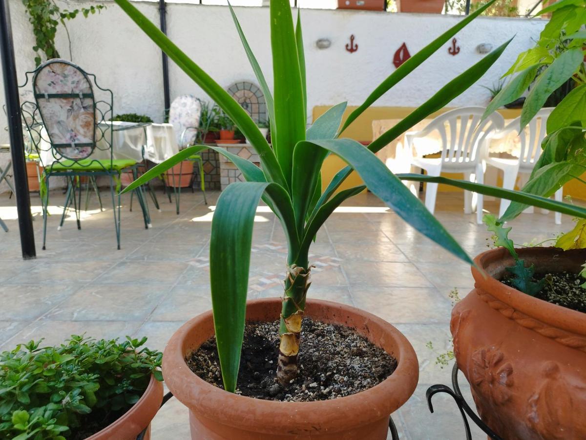 Voulas Guest House فولوس المظهر الخارجي الصورة